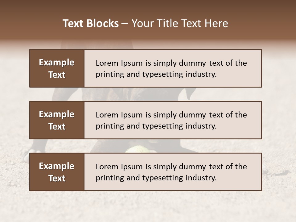 A Dog Playing With A Tennis Ball In The Sand PowerPoint Template