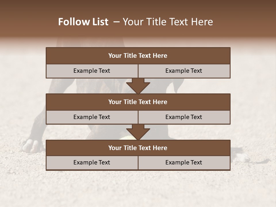 A Dog Playing With A Tennis Ball In The Sand PowerPoint Template