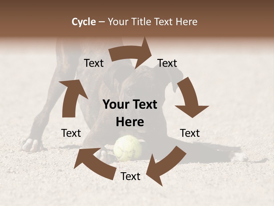 A Dog Playing With A Tennis Ball In The Sand PowerPoint Template
