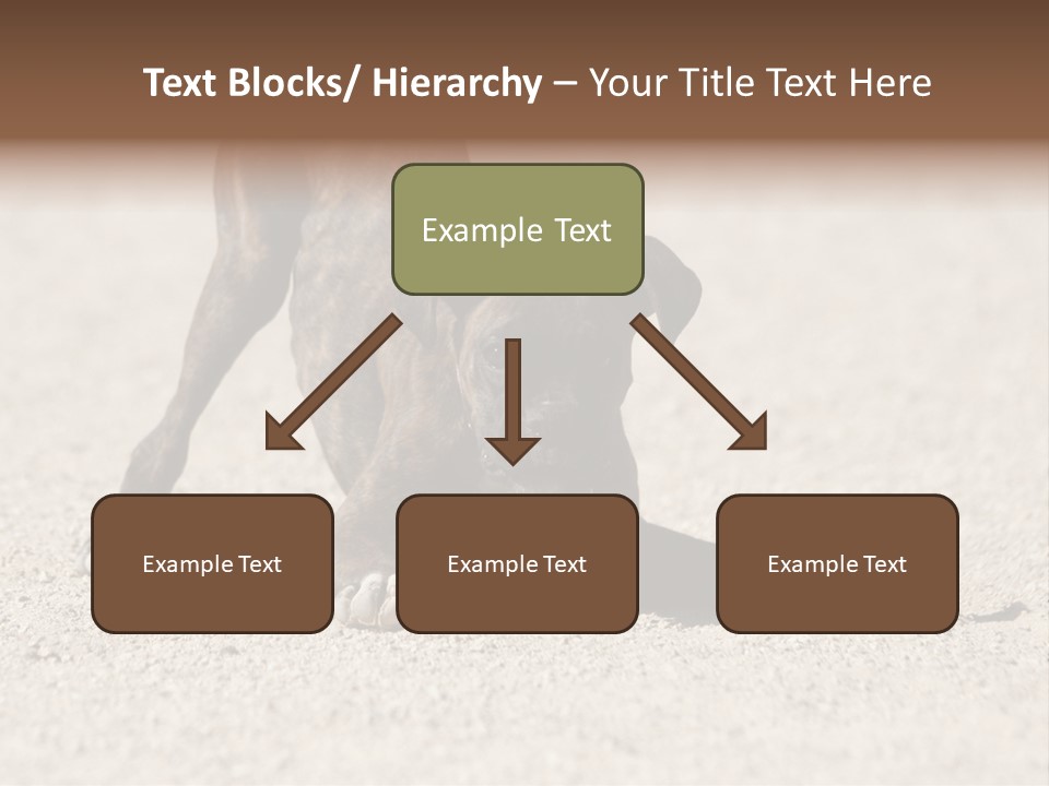 A Dog Playing With A Tennis Ball In The Sand PowerPoint Template