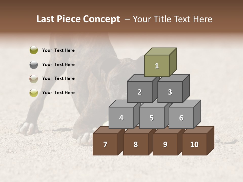 A Dog Playing With A Tennis Ball In The Sand PowerPoint Template