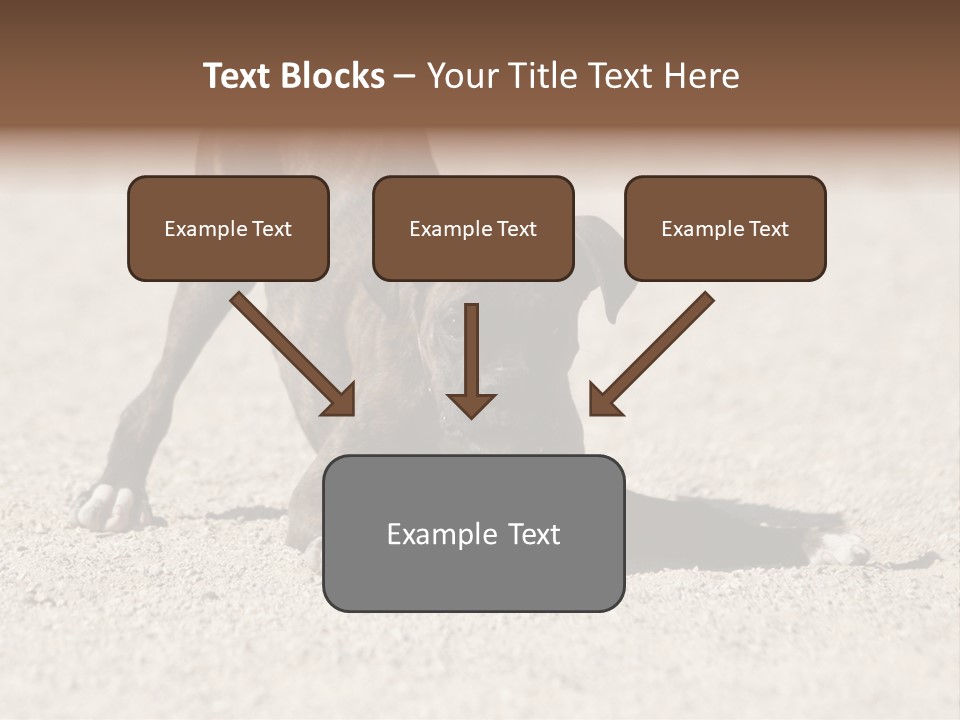 A Dog Playing With A Tennis Ball In The Sand PowerPoint Template
