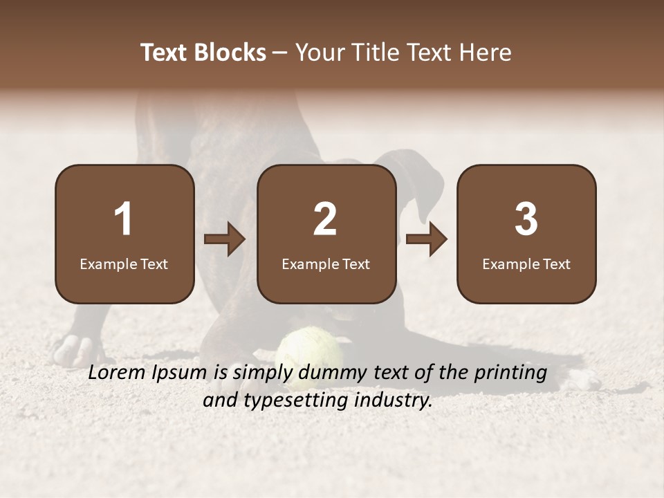 A Dog Playing With A Tennis Ball In The Sand PowerPoint Template