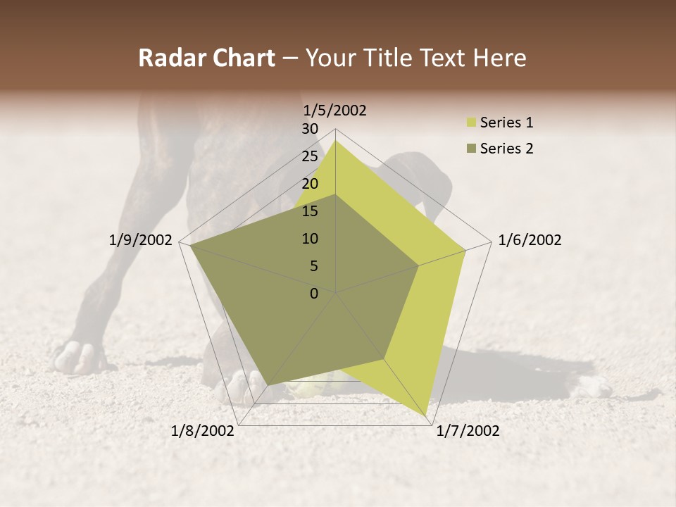 A Dog Playing With A Tennis Ball In The Sand PowerPoint Template