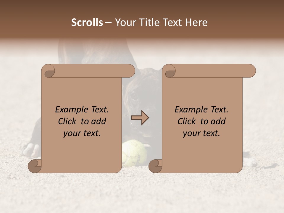 A Dog Playing With A Tennis Ball In The Sand PowerPoint Template