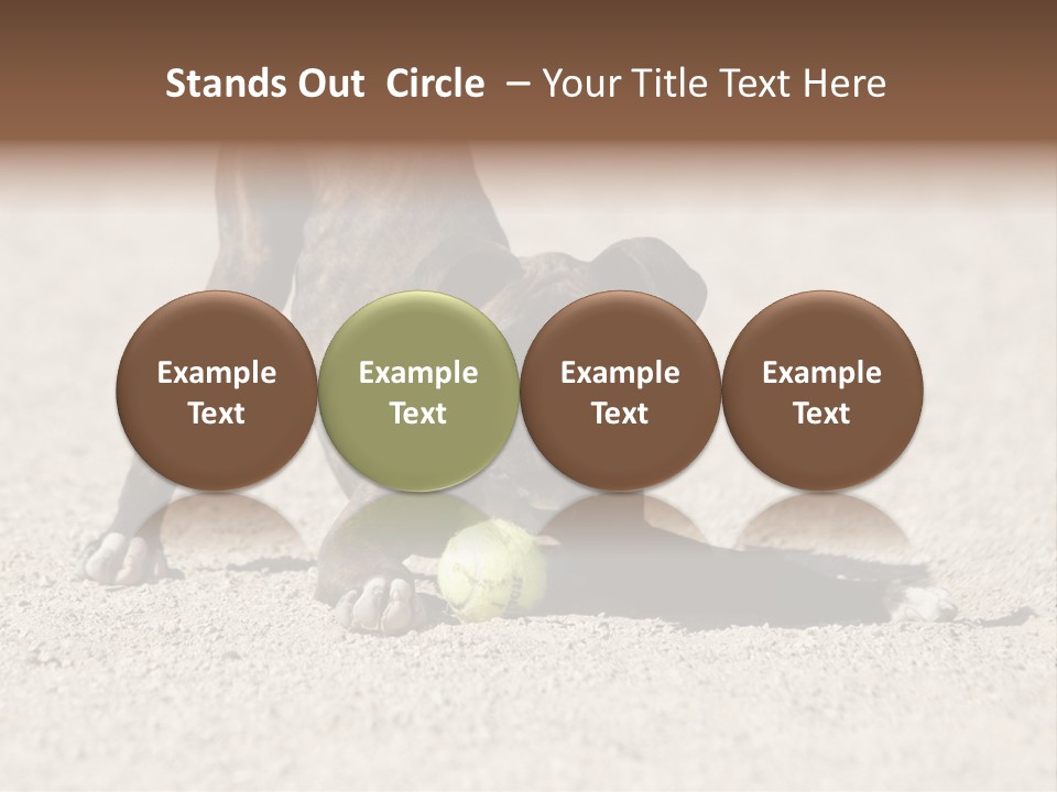 A Dog Playing With A Tennis Ball In The Sand PowerPoint Template