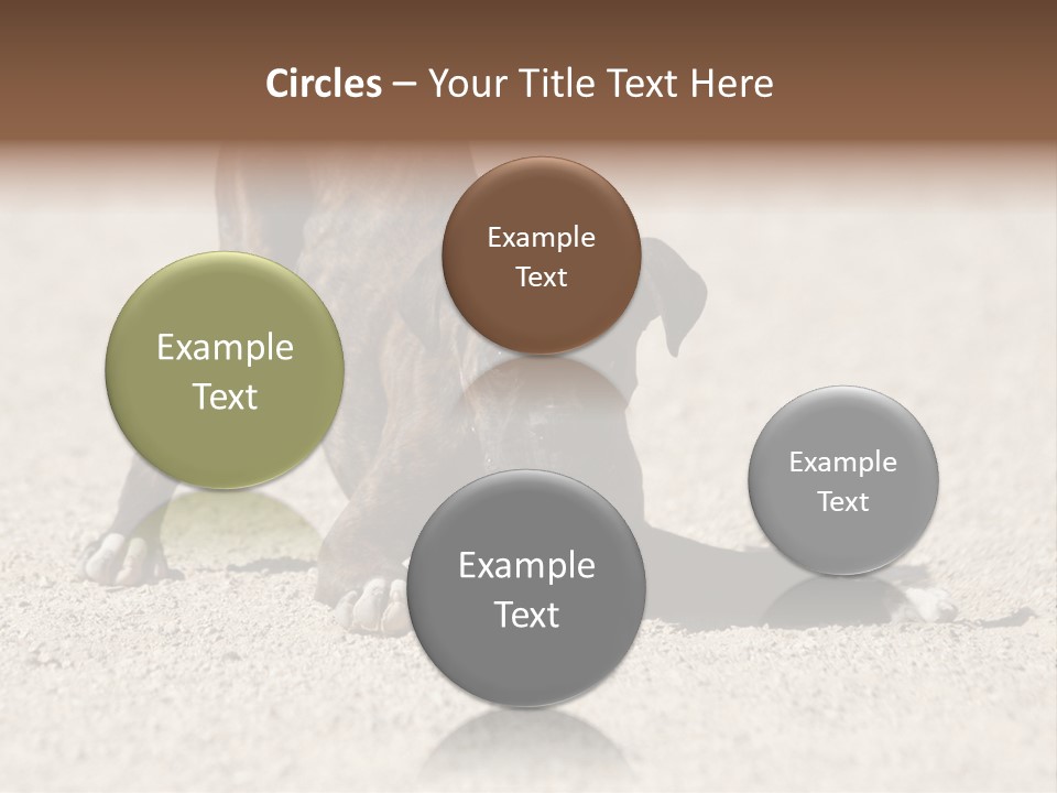 A Dog Playing With A Tennis Ball In The Sand PowerPoint Template