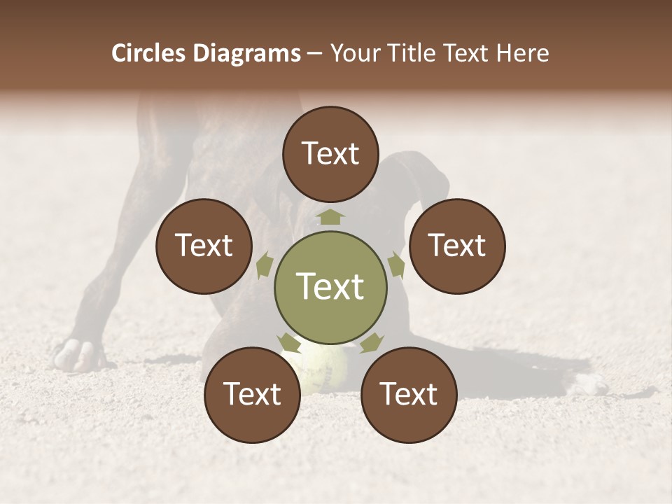 A Dog Playing With A Tennis Ball In The Sand PowerPoint Template