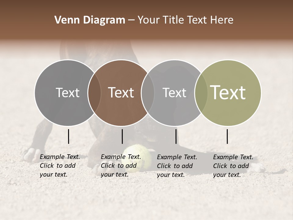 A Dog Playing With A Tennis Ball In The Sand PowerPoint Template