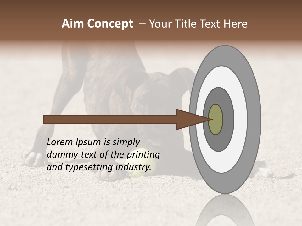 A Dog Playing With A Tennis Ball In The Sand PowerPoint Template