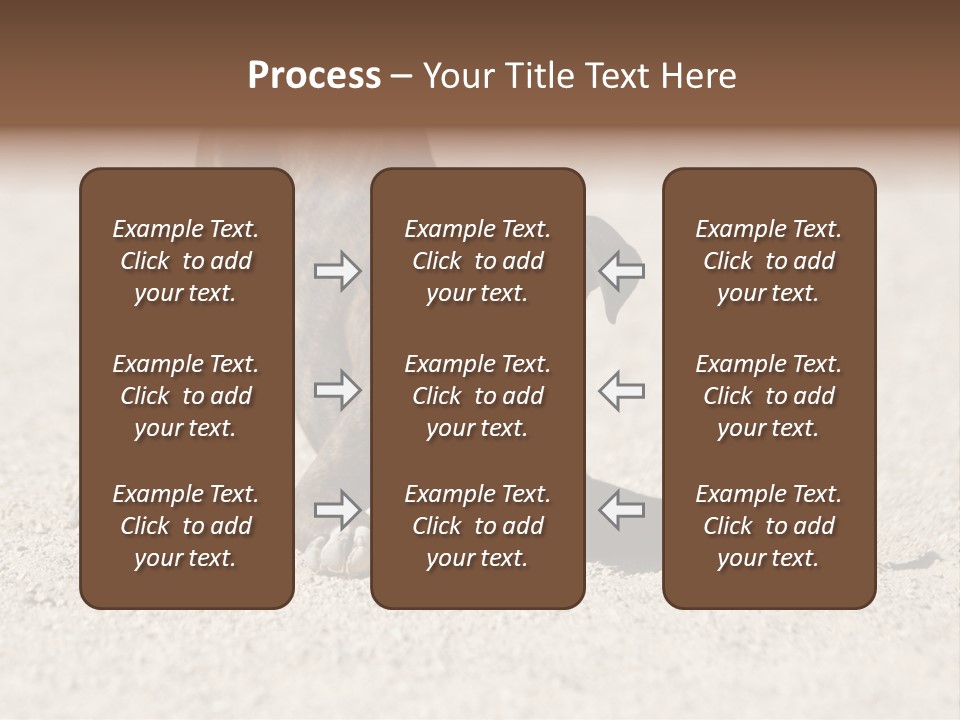 A Dog Playing With A Tennis Ball In The Sand PowerPoint Template