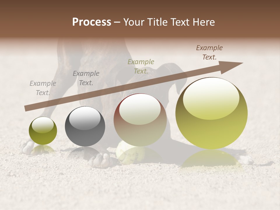 A Dog Playing With A Tennis Ball In The Sand PowerPoint Template