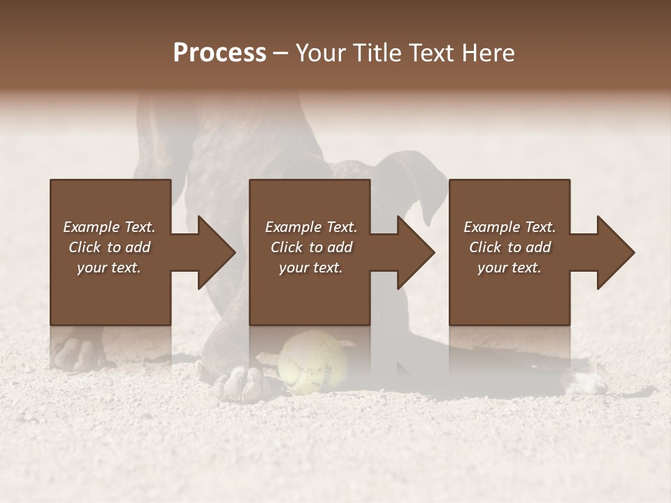 A Dog Playing With A Tennis Ball In The Sand PowerPoint Template