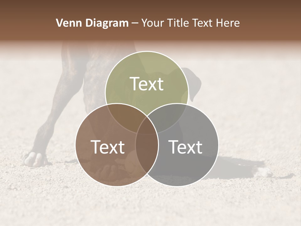 A Dog Playing With A Tennis Ball In The Sand PowerPoint Template