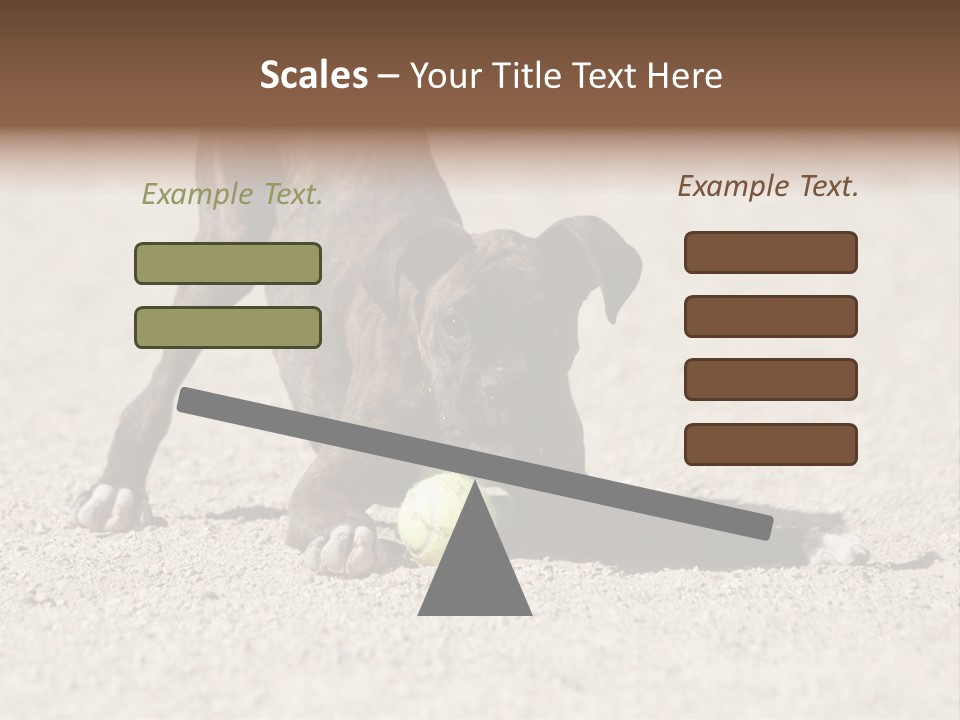 A Dog Playing With A Tennis Ball In The Sand PowerPoint Template