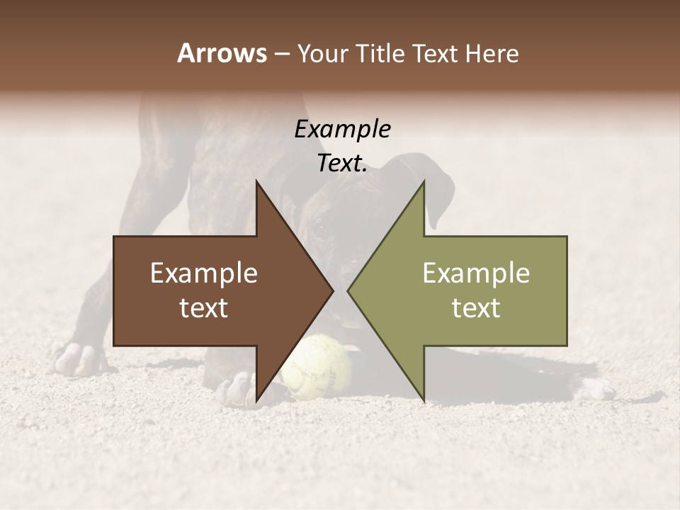 A Dog Playing With A Tennis Ball In The Sand PowerPoint Template