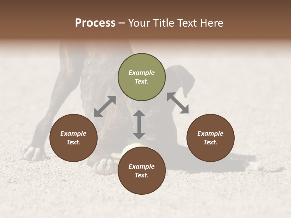 A Dog Playing With A Tennis Ball In The Sand PowerPoint Template