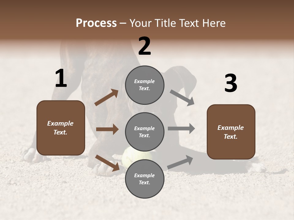 A Dog Playing With A Tennis Ball In The Sand PowerPoint Template