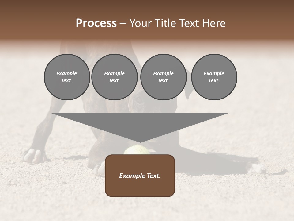 A Dog Playing With A Tennis Ball In The Sand PowerPoint Template