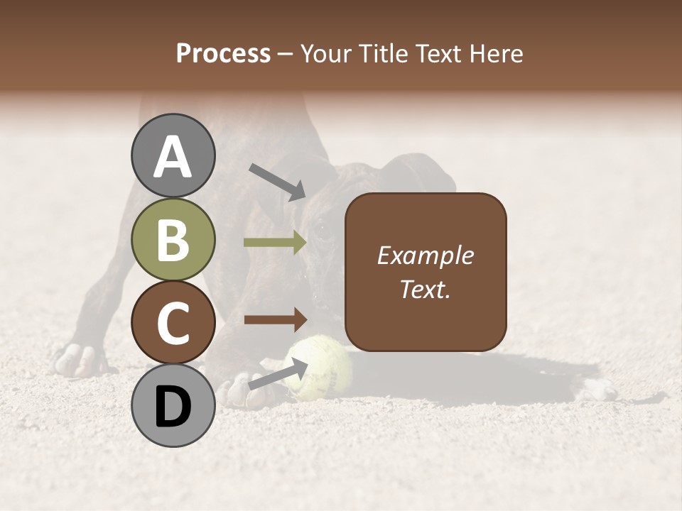 A Dog Playing With A Tennis Ball In The Sand PowerPoint Template