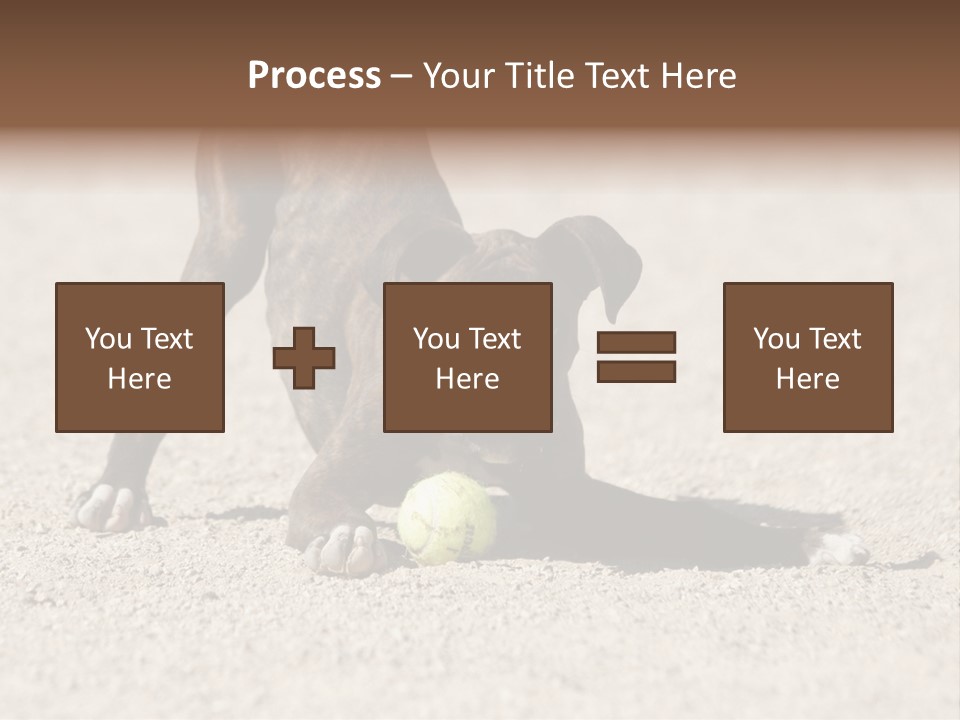 A Dog Playing With A Tennis Ball In The Sand PowerPoint Template