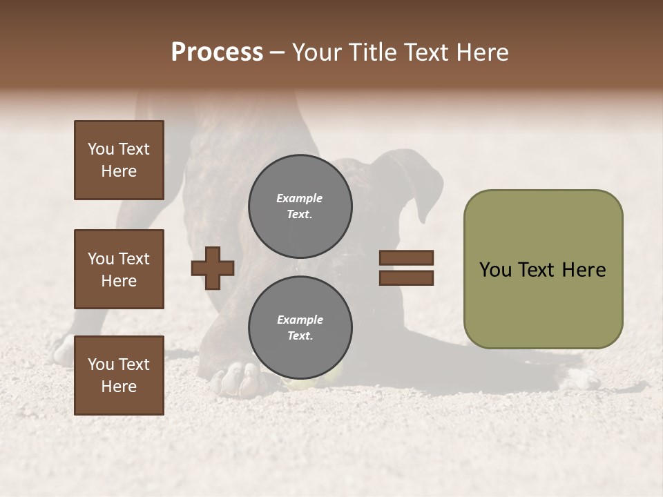 A Dog Playing With A Tennis Ball In The Sand PowerPoint Template