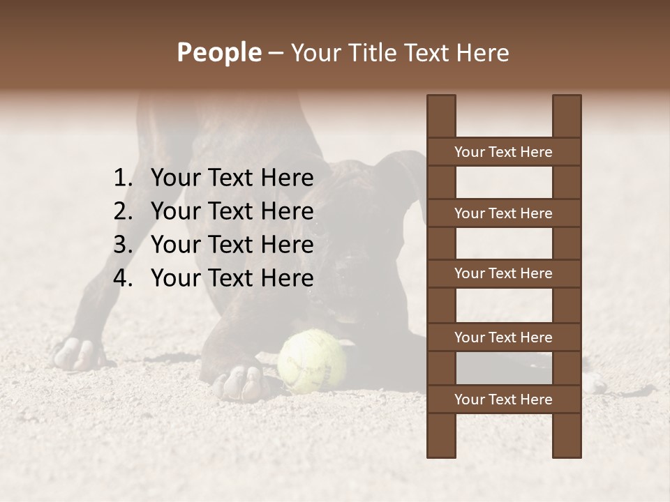 A Dog Playing With A Tennis Ball In The Sand PowerPoint Template