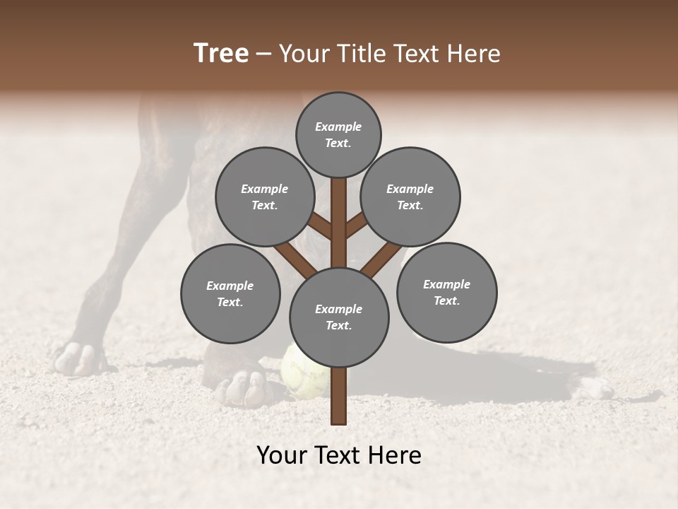 A Dog Playing With A Tennis Ball In The Sand PowerPoint Template