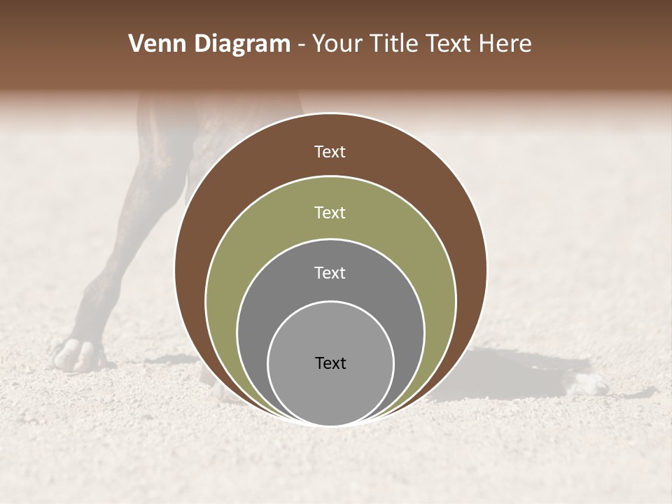 A Dog Playing With A Tennis Ball In The Sand PowerPoint Template