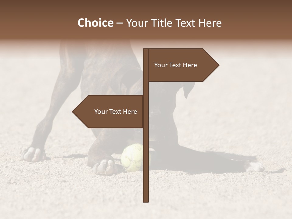 A Dog Playing With A Tennis Ball In The Sand PowerPoint Template