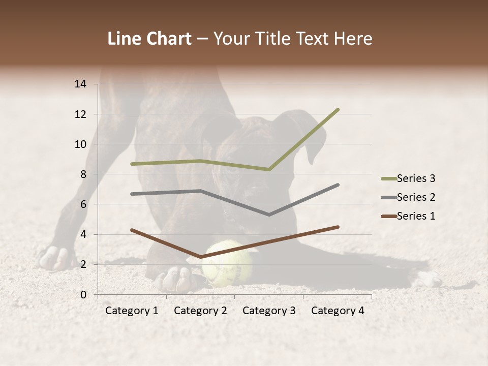 A Dog Playing With A Tennis Ball In The Sand PowerPoint Template