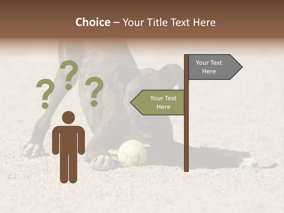 A Dog Playing With A Tennis Ball In The Sand PowerPoint Template
