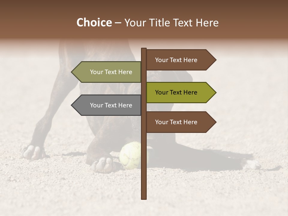 A Dog Playing With A Tennis Ball In The Sand PowerPoint Template