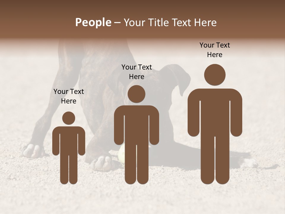 A Dog Playing With A Tennis Ball In The Sand PowerPoint Template
