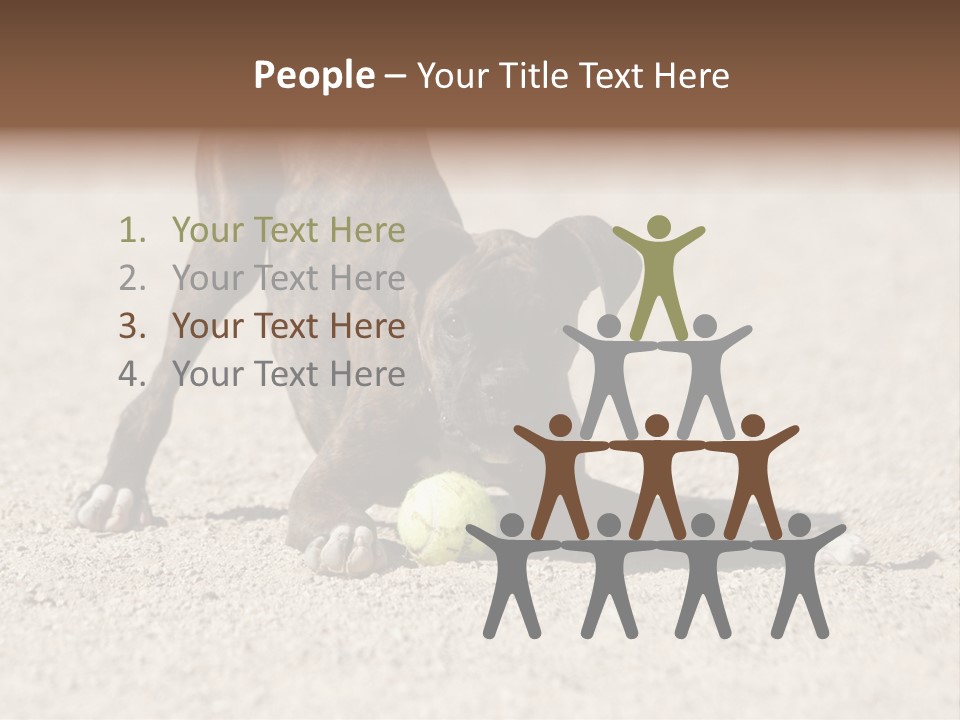 A Dog Playing With A Tennis Ball In The Sand PowerPoint Template