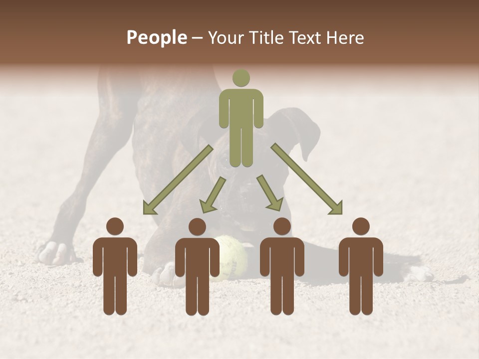 A Dog Playing With A Tennis Ball In The Sand PowerPoint Template