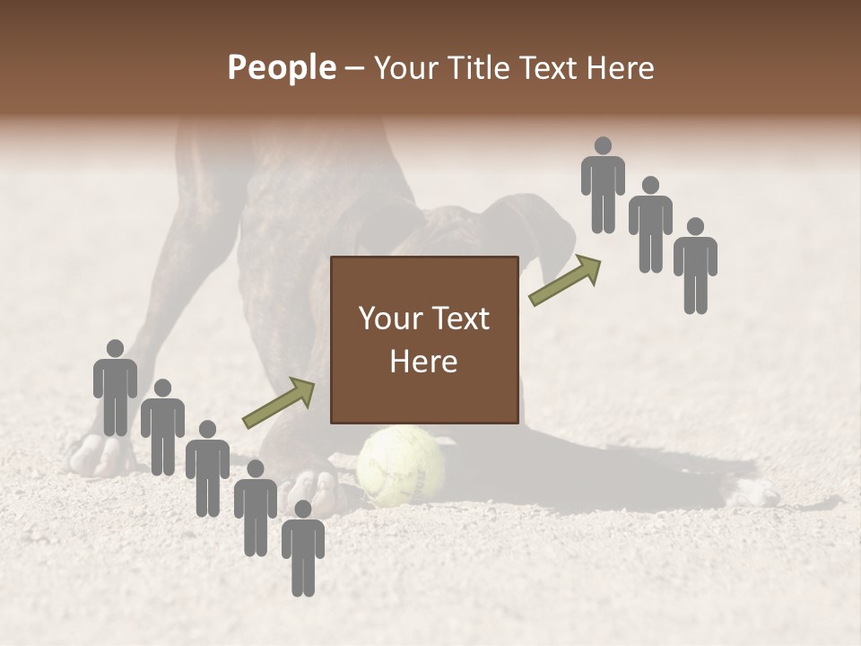 A Dog Playing With A Tennis Ball In The Sand PowerPoint Template
