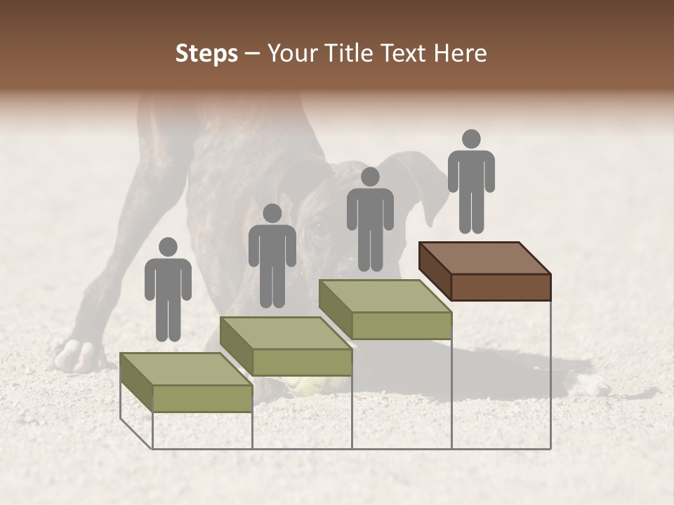 A Dog Playing With A Tennis Ball In The Sand PowerPoint Template