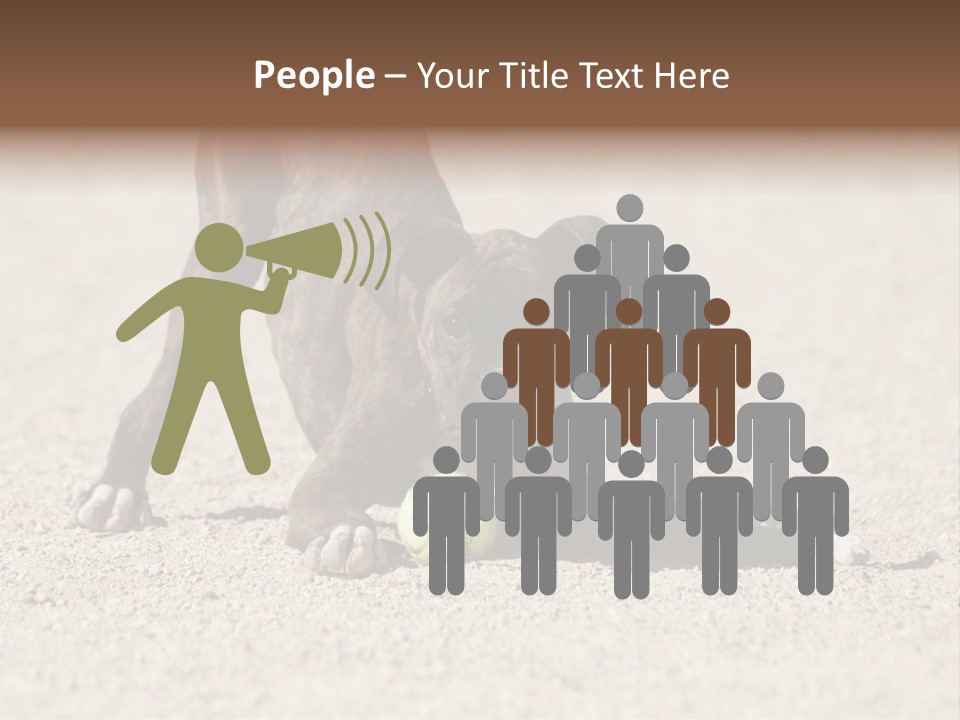 A Dog Playing With A Tennis Ball In The Sand PowerPoint Template
