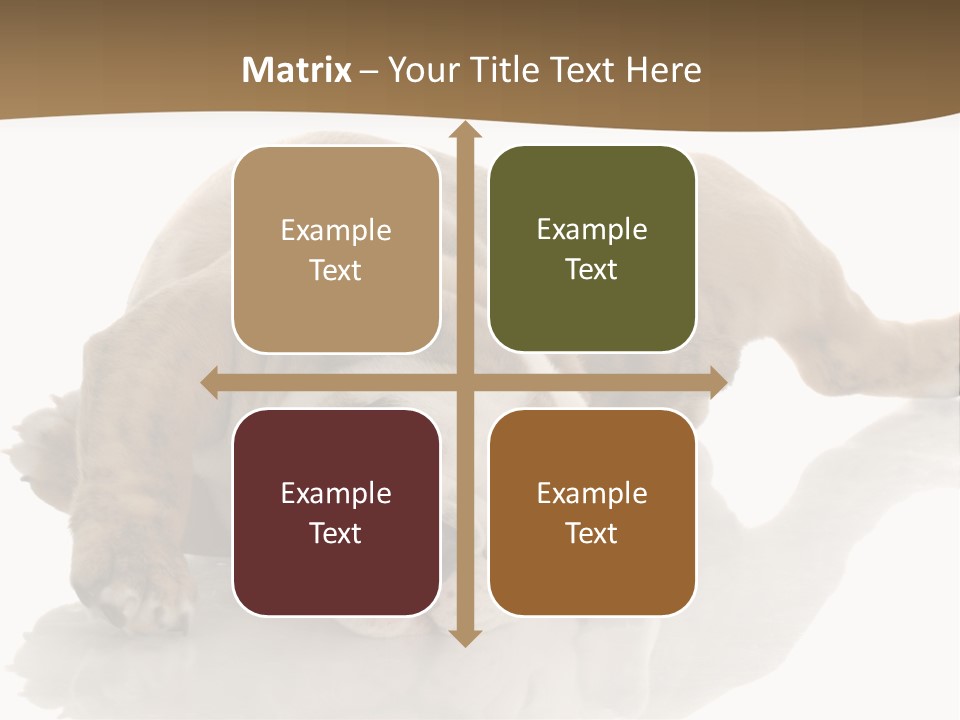 Upside Young Pet PowerPoint Template