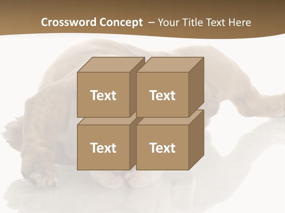 Upside Young Pet PowerPoint Template