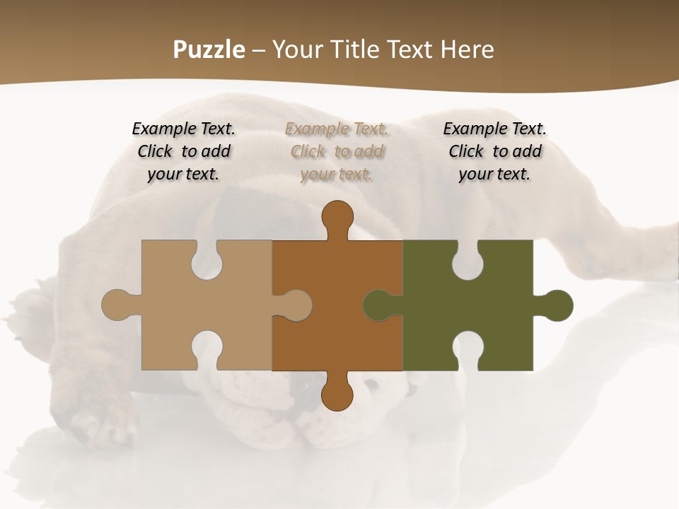 Upside Young Pet PowerPoint Template