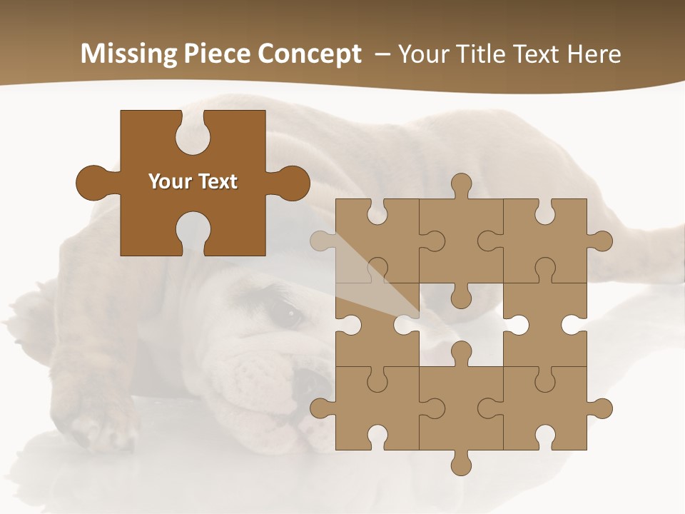 Upside Young Pet PowerPoint Template