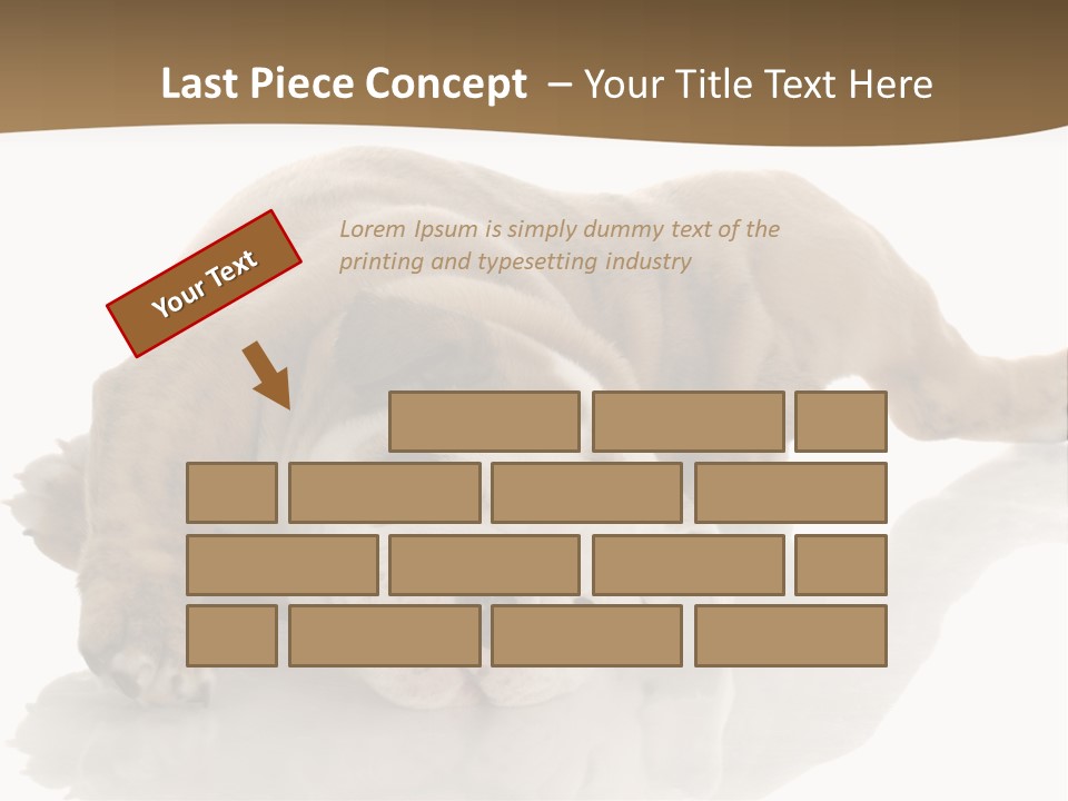 Upside Young Pet PowerPoint Template