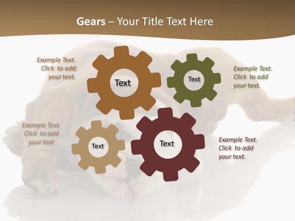 Upside Young Pet PowerPoint Template