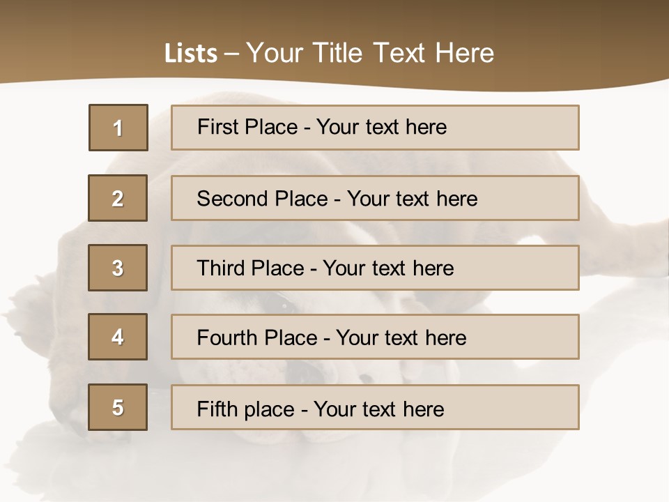 Upside Young Pet PowerPoint Template