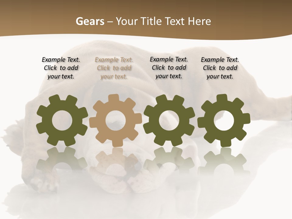 Upside Young Pet PowerPoint Template