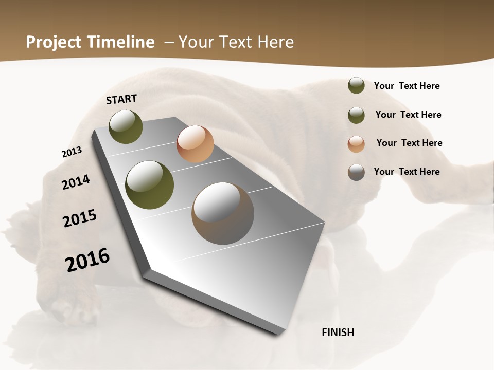 Upside Young Pet PowerPoint Template