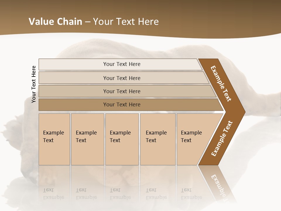 Upside Young Pet PowerPoint Template