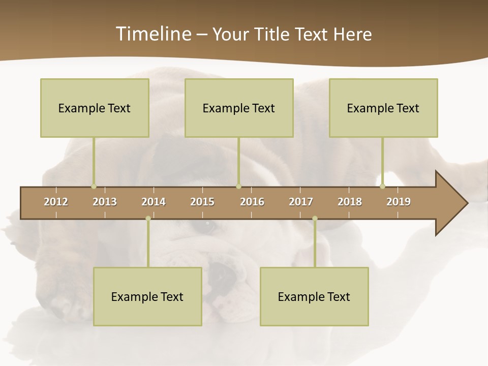 Upside Young Pet PowerPoint Template